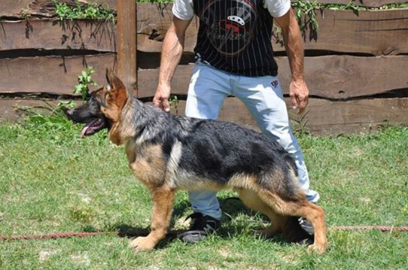 10525952_424572501016211_1978057941307691776_n